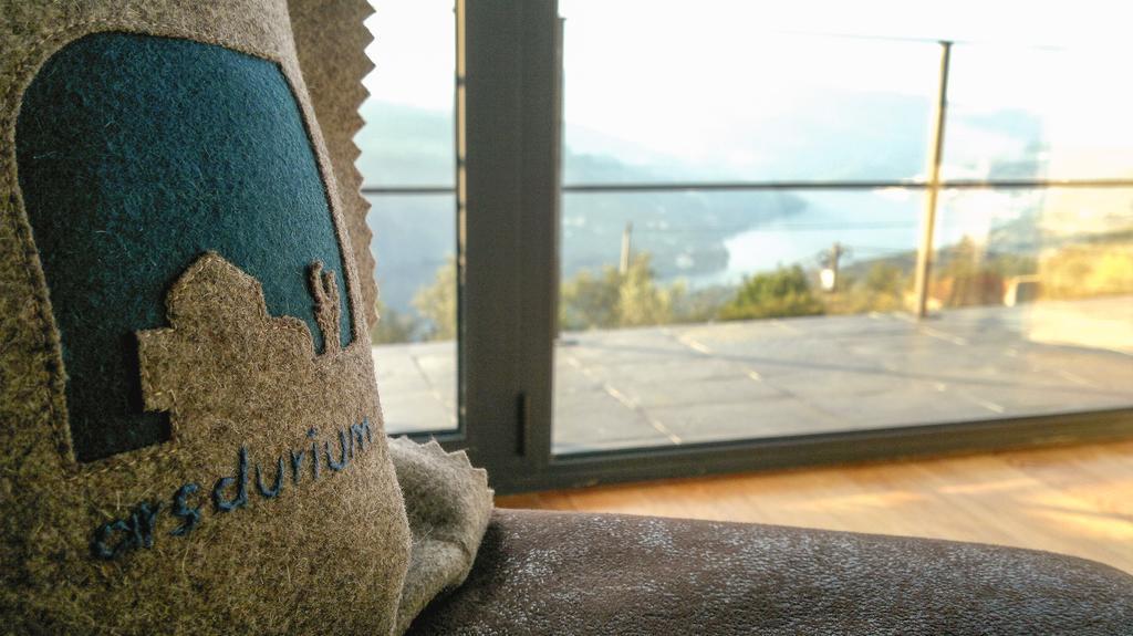 Arsdurium Douro Hotel Cinfães Cameră foto